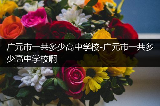 广元市一共多少高中学校-广元市一共多少高中学校啊