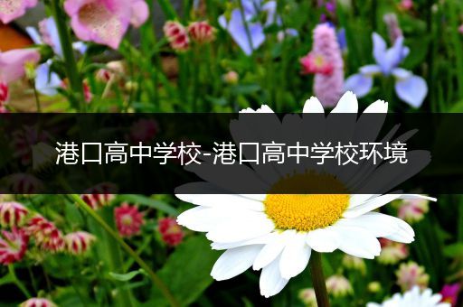 港口高中学校-港口高中学校环境