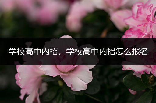 学校高中内招，学校高中内招怎么报名