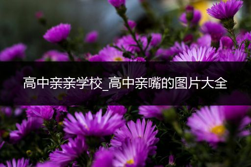 高中亲亲学校_高中亲嘴的图片大全