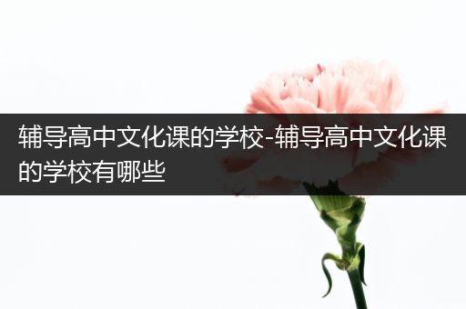 辅导高中文化课的学校-辅导高中文化课的学校有哪些