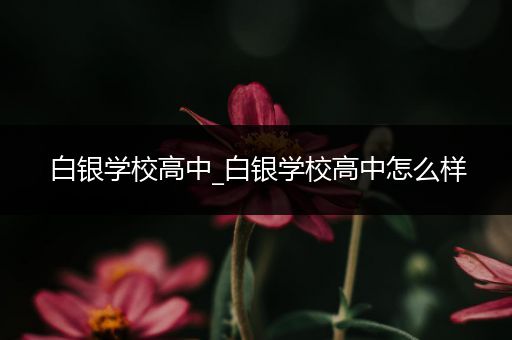 白银学校高中_白银学校高中怎么样