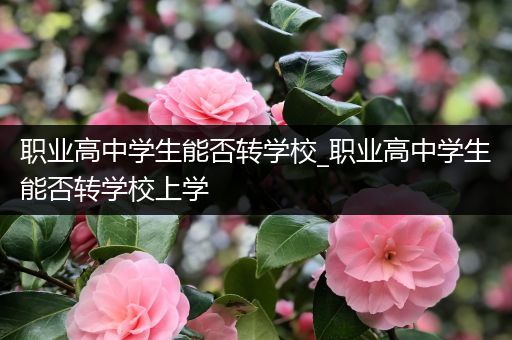 职业高中学生能否转学校_职业高中学生能否转学校上学