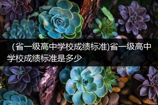 （省一级高中学校成绩标准)省一级高中学校成绩标准是多少