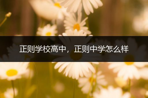 正则学校高中，正则中学怎么样