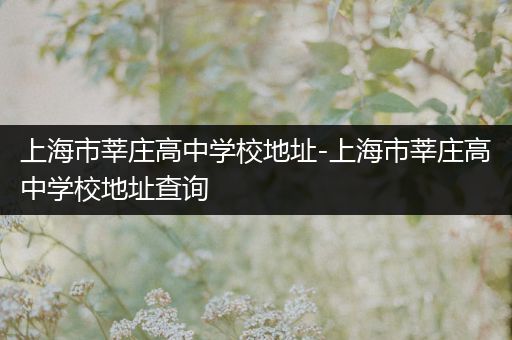 上海市莘庄高中学校地址-上海市莘庄高中学校地址查询