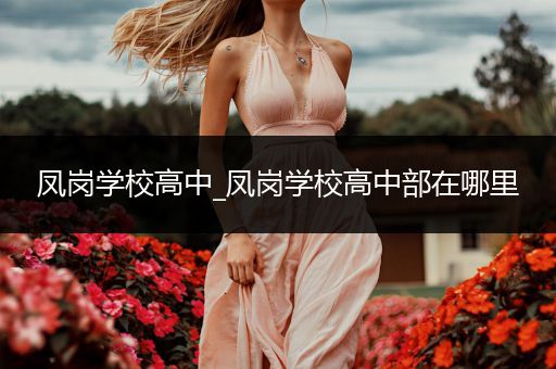 凤岗学校高中_凤岗学校高中部在哪里