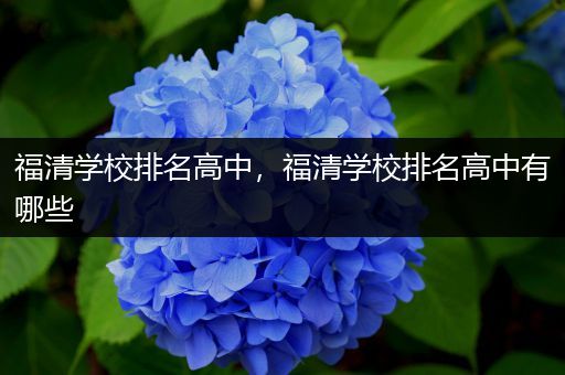 福清学校排名高中，福清学校排名高中有哪些