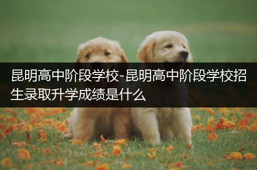 昆明高中阶段学校-昆明高中阶段学校招生录取升学成绩是什么