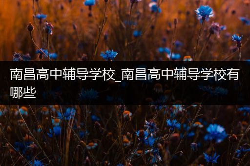 南昌高中辅导学校_南昌高中辅导学校有哪些