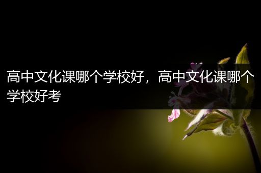 高中文化课哪个学校好，高中文化课哪个学校好考