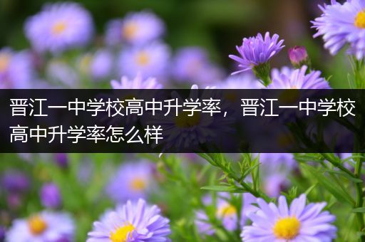 晋江一中学校高中升学率，晋江一中学校高中升学率怎么样