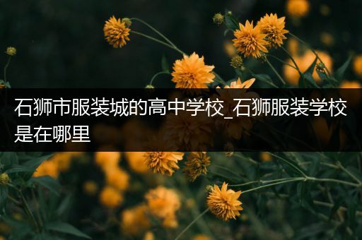 石狮市服装城的高中学校_石狮服装学校是在哪里