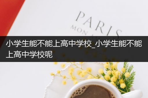 小学生能不能上高中学校_小学生能不能上高中学校呢