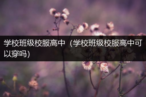 学校班级校服高中（学校班级校服高中可以穿吗）
