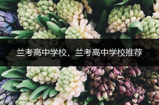 兰考高中学校，兰考高中学校推荐