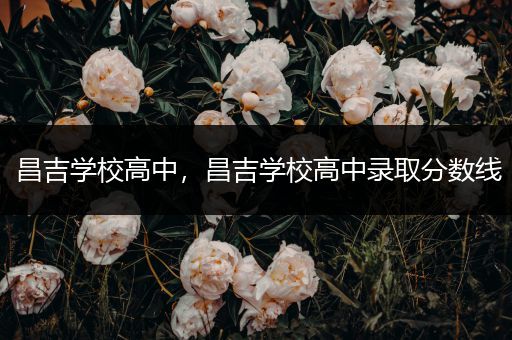 昌吉学校高中，昌吉学校高中录取分数线