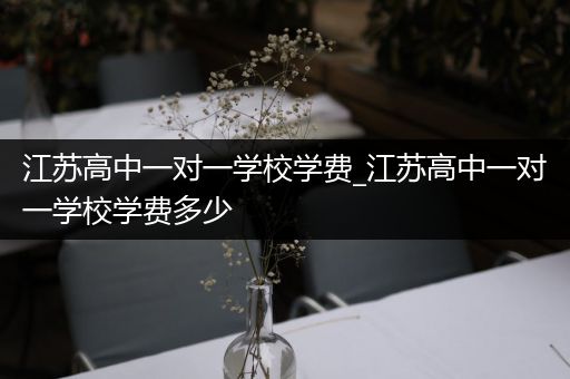 江苏高中一对一学校学费_江苏高中一对一学校学费多少