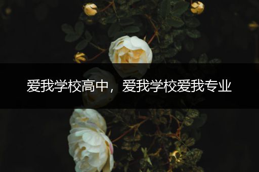 爱我学校高中，爱我学校爱我专业