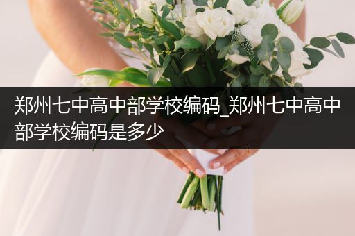郑州七中高中部学校编码_郑州七中高中部学校编码是多少