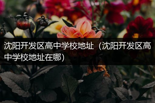 沈阳开发区高中学校地址（沈阳开发区高中学校地址在哪）
