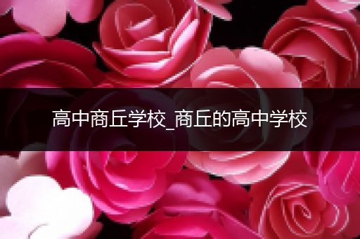 高中商丘学校_商丘的高中学校
