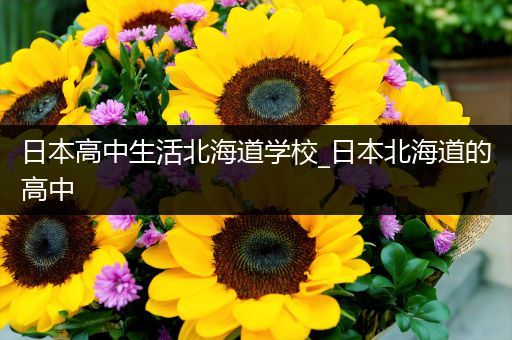 日本高中生活北海道学校_日本北海道的高中