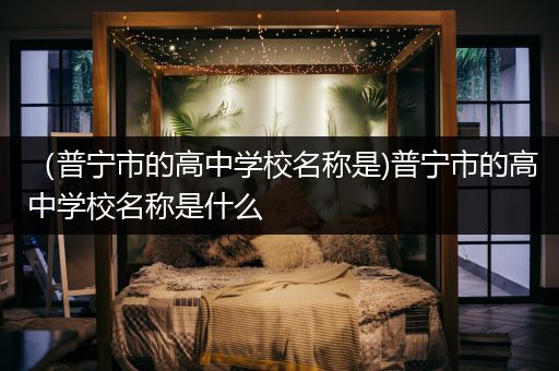 （普宁市的高中学校名称是)普宁市的高中学校名称是什么