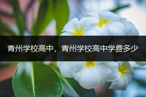 青州学校高中，青州学校高中学费多少