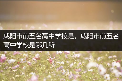 咸阳市前五名高中学校是，咸阳市前五名高中学校是哪几所