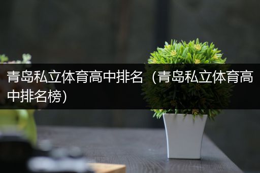 青岛私立体育高中排名（青岛私立体育高中排名榜）