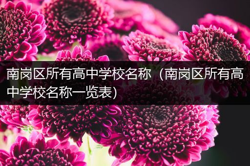 南岗区所有高中学校名称（南岗区所有高中学校名称一览表）
