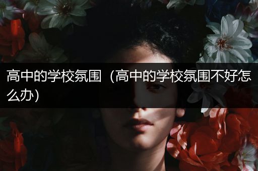 高中的学校氛围（高中的学校氛围不好怎么办）
