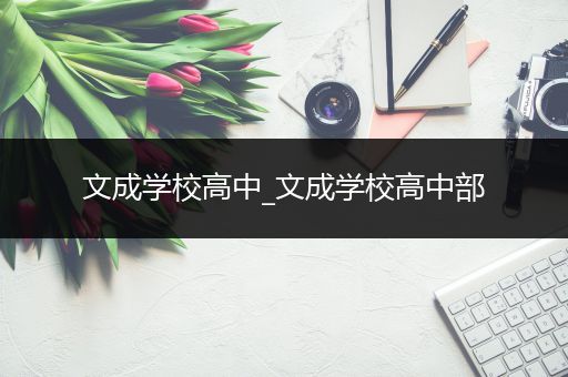 文成学校高中_文成学校高中部