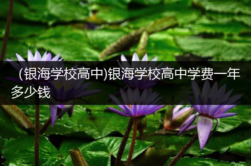 （银海学校高中)银海学校高中学费一年多少钱