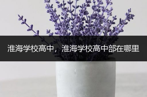 淮海学校高中，淮海学校高中部在哪里
