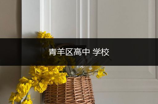 青羊区高中 学校