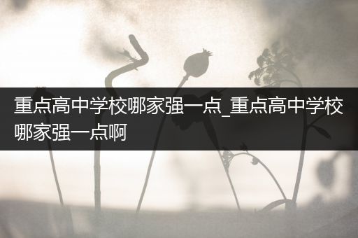 重点高中学校哪家强一点_重点高中学校哪家强一点啊