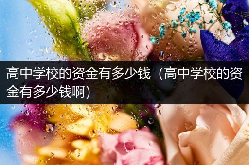 高中学校的资金有多少钱（高中学校的资金有多少钱啊）