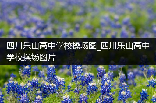 四川乐山高中学校操场图_四川乐山高中学校操场图片