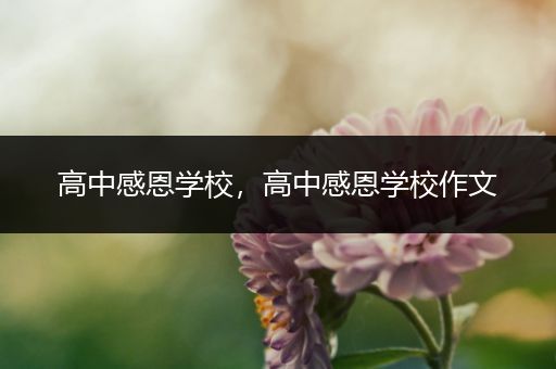 高中感恩学校，高中感恩学校作文