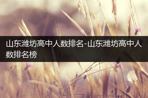 山东潍坊高中人数排名-山东潍坊高中人数排名榜