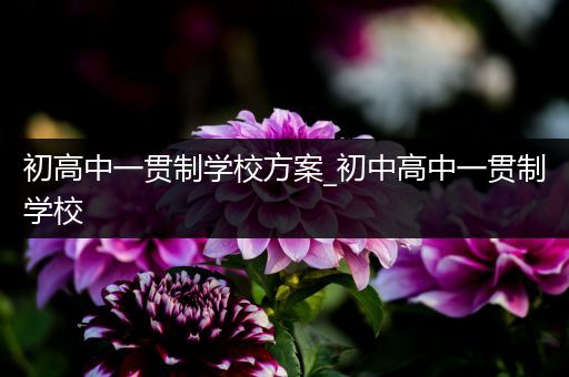 初高中一贯制学校方案_初中高中一贯制学校