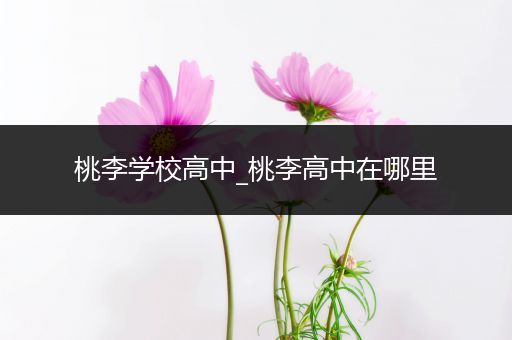 桃李学校高中_桃李高中在哪里