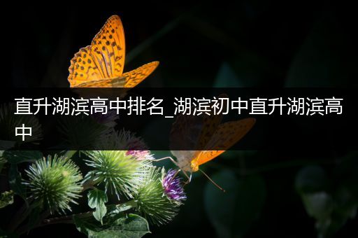 直升湖滨高中排名_湖滨初中直升湖滨高中
