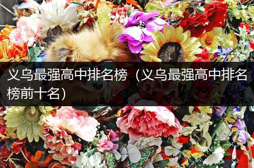 义乌最强高中排名榜（义乌最强高中排名榜前十名）
