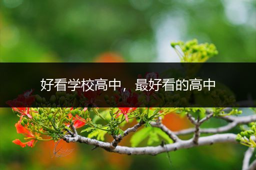 好看学校高中，最好看的高中