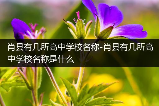 肖县有几所高中学校名称-肖县有几所高中学校名称是什么
