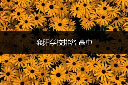 襄阳学校排名 高中