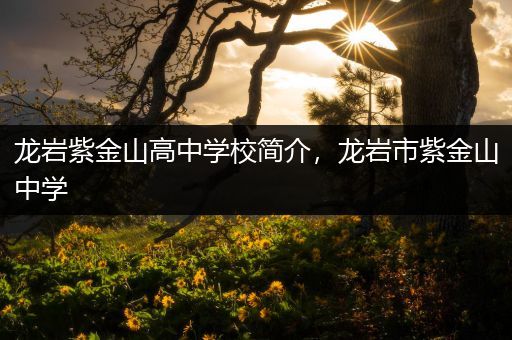 龙岩紫金山高中学校简介，龙岩市紫金山中学